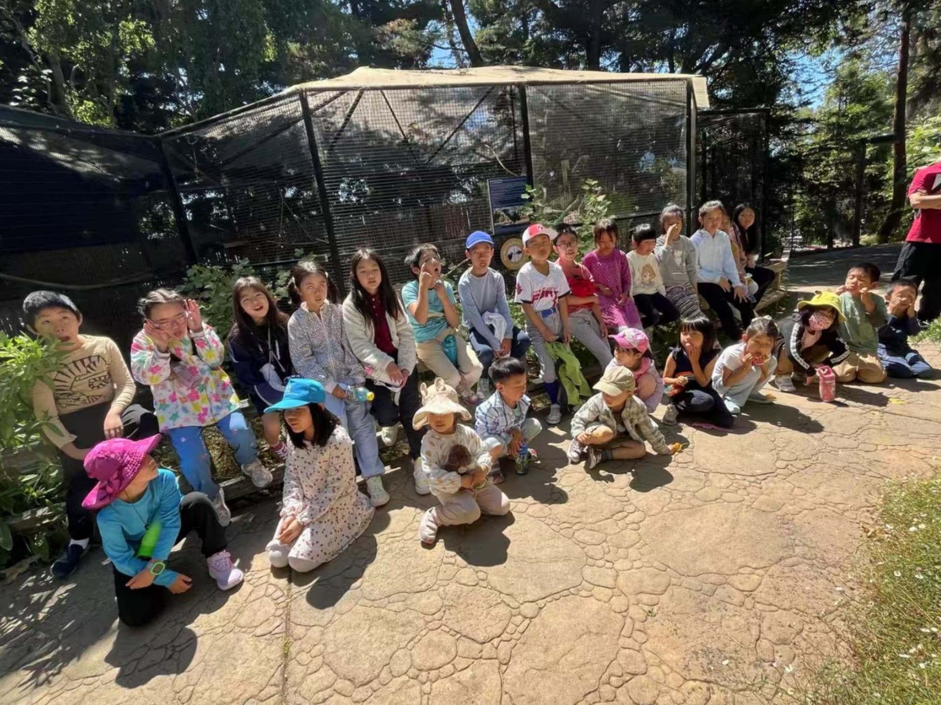 Summer Camp Week 2